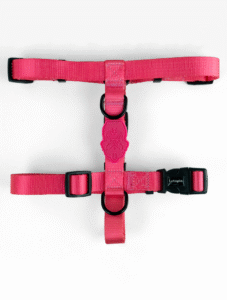 Peitoral H Luna - Imagem 2