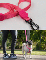 Guia Luna - Imagem 7