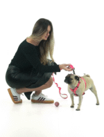 Guia Luna - Imagem 4