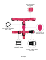 Peitoral H Luna - Imagem 6