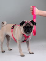 Peitoral H Luna - Imagem 8