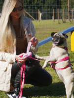 Porta Saquinho - Imagem 4